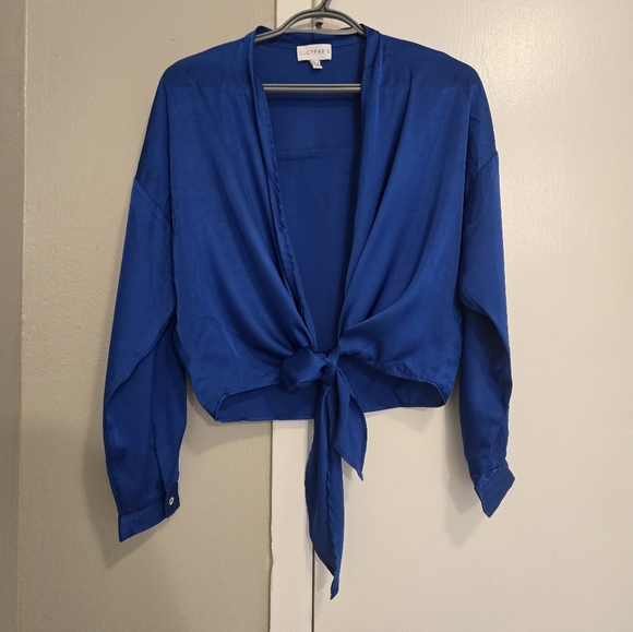 Lucy Paris Vibrant Blue Button-Down Shirt. Size S - Picture 7 of 11